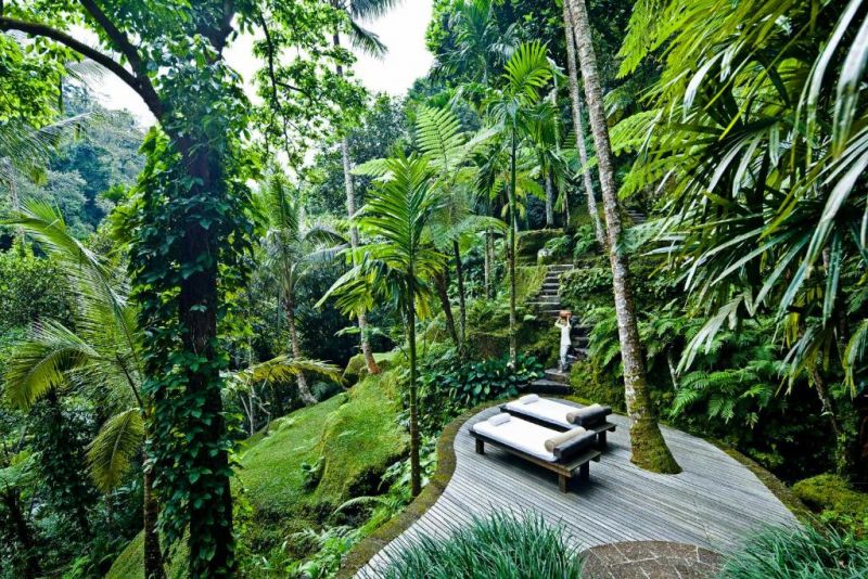 COMO SHAMBHALA ESTATE