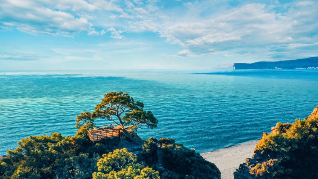 NG PHASELIS BAY 11