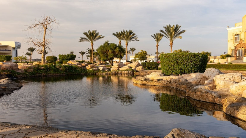 PALM ROYALE SOMA BAY