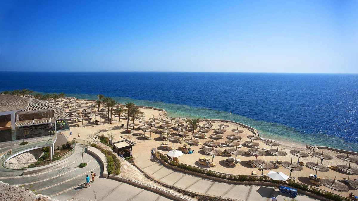 REEF OASIS BLUE BAY