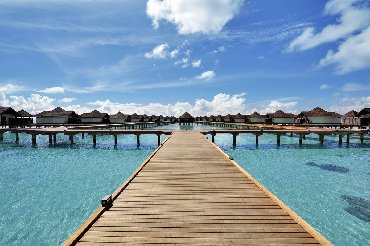 thumb 6