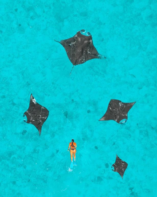 NH COLLECTION REETHI MALDIVES