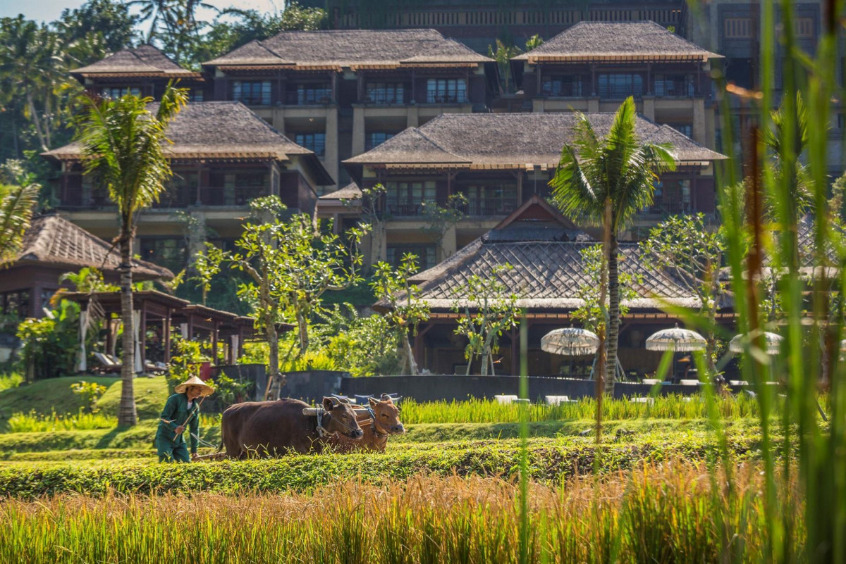 MANDAPA A RITZ-CARLTON RESERVE