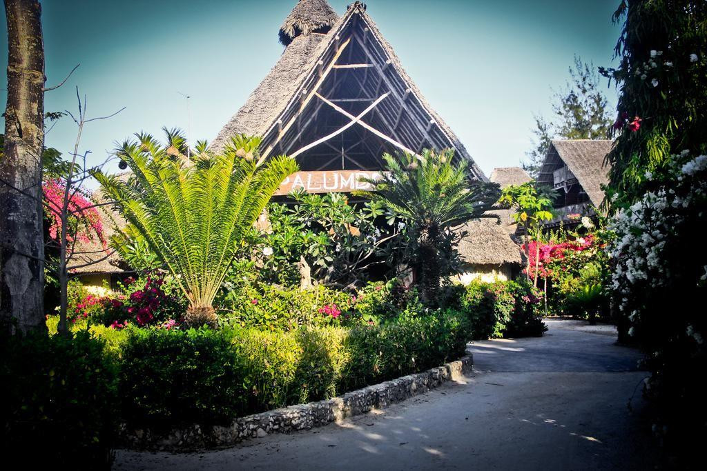 JAZ AMALUNA BEACH RESORT ADULTS ONLY (16+)